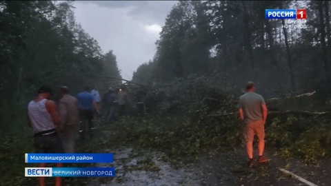Грозовой фронт, прошедший над западными районами Новгородской области, принес немало хлопот