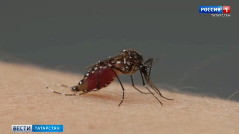 В Казани обработают 158 водоемов от комаров
