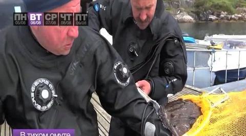 Эфир от 10.08.2013
