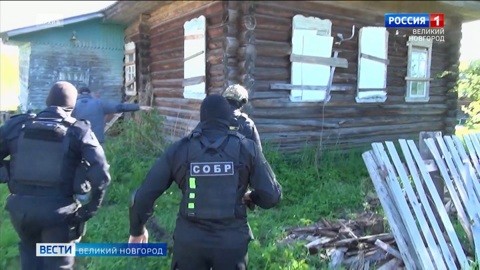 Пестовский районный суд вынес приговор в отношении жителя Санкт-Петербурга, обвиняемого в организации преступного сообщества