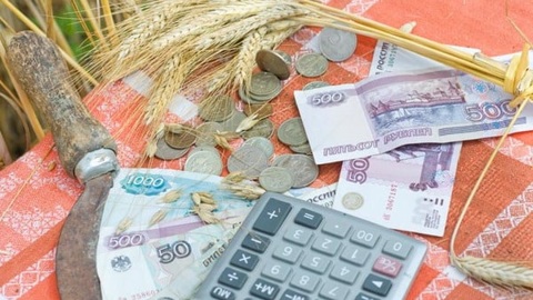 Аграриям региона в 2022 году выдано 7,8 млрд кредитных средств