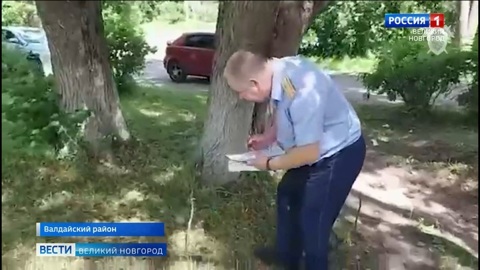 Следственное управление по Новгородской области возбудило уголовное дело по факту убийства в Валдае 36-летней жительницы Санкт-Петербурга