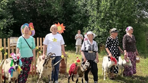 Самую красивую козу выбрали в Удмуртии