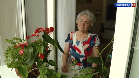 Солдатские матери. Галина Анисимова. Эфир от 18.07.2022