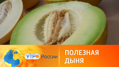 Полезные свойства дыни
