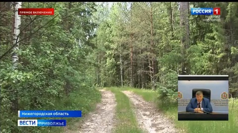 Эдуард Леонтьев объяснил, как "лесная амнистия" действует на территории Нижегородской области?