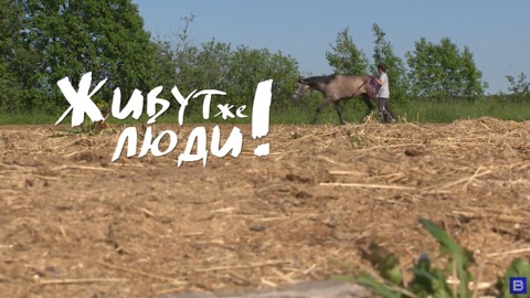 Живут же люди! Горчаковы и команда в "Русском поле"