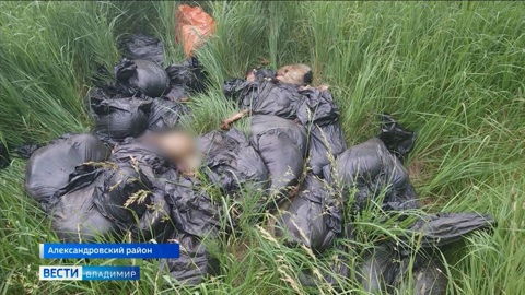 Во Владимирской области сожгли скандальную свалку останков баранов