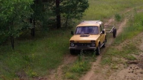 В Бурятии "черные лесорубы" попались на фотоловушки