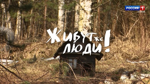 Живут же люди! Сыроварня