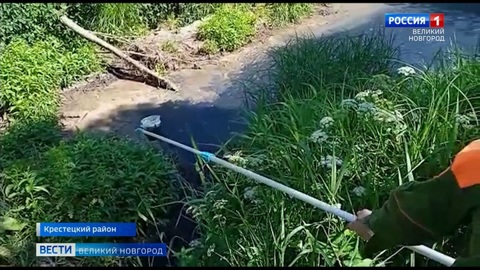 Северо-Западное межрегиональное управление Росприроднадзора завершило внеплановую проверку ООО "Белгранкорм-Великий Новгород"