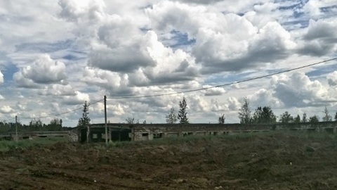 В Удмуртии задержали подозреваемого в краже коровника