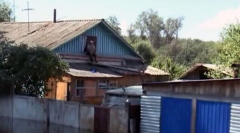 Паводок наступает: местные жители и спасатели борются со стихией день и ночь