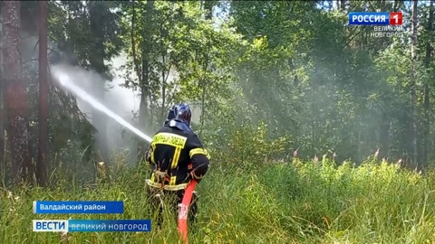 Новгородские и тверские спасатели на масштабных учениях отработали тушение лесного пожара и спасение людей