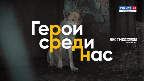 Леонид Князев. Эфир от 22.07.2022