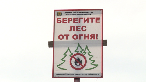 В Волгоградской области продлили режим ограничения на посещение лесов