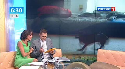 Эфир от 19.08.2013