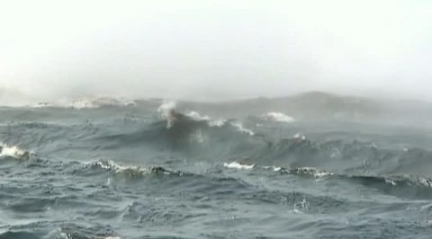 Паводок на Дальнем Востоке: в Хабаровске уровень воды бьет все рекорды