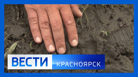 Эфир от 1.08.2022