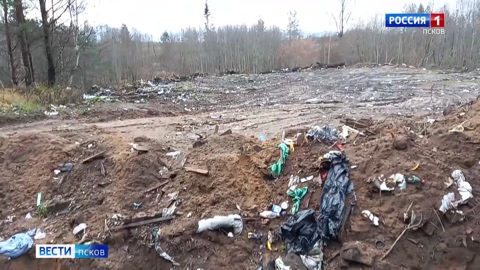 2 тонны бытовых отходов и строительного мусора. В Плюссе оценивают ущерб от несанкционированной свалки