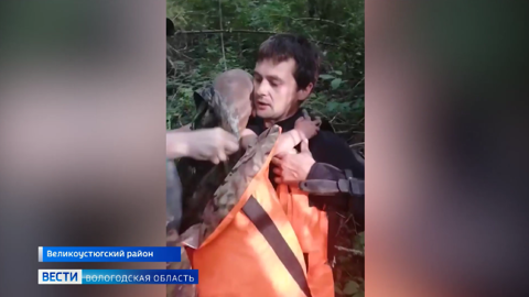 Чудесное спасение: трёхлетнего мальчика нашли спустя двое суток под Великим Устюгом