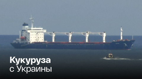 Еще три сухогруза с зерном покинули порты Украины