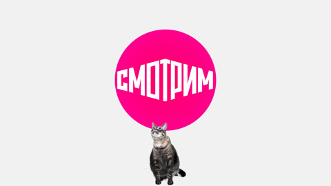 Самые известные котики в кино и мультфильмах