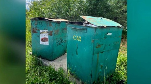 В Шенкурском округе оштрафована компания "Экоинтегратор"