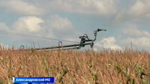 На Ставрополье орошение гарантирует высокие урожаи