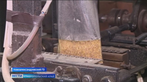 На Ставрополье возрождают старинные рецепты