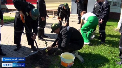 Наш регион подключился к Всероссийской акции "Дети сажают сады"