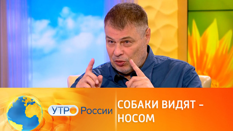 Собачий нюх: как он работает