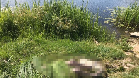 Тело пропавшего 18-летнего парня подняли из реки Малой Кокшаги в Марий Эл
