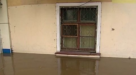 Потоп в Хабаровске: город терроризируют грызуны и насекомые