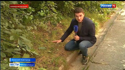 Новорожденного ребенка нашли в кустах в Советском районе Нижнего Новгорода: Подробности с места ЧП