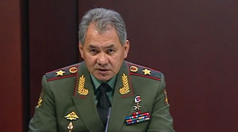 Шойгу попросил руководство Крыма освободить задержанного Гайдука