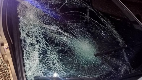 22 августа в Марий Эл сбили пешехода и велосипедиста