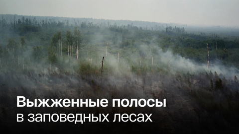 Из-за жары в Рязанской области могут возникнуть новые пожары