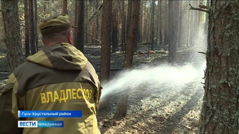 К западной границе Владимирской области подходит лесной пожар