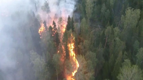 В Ленском районе локализовали лесной пожар