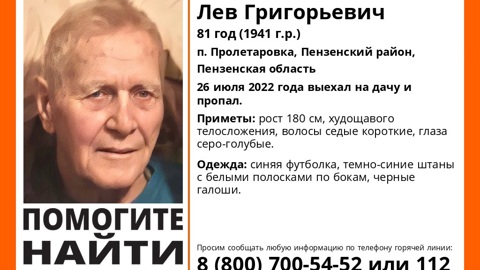 Пензенцев просят помочь в поисках 81-летнего мужчины