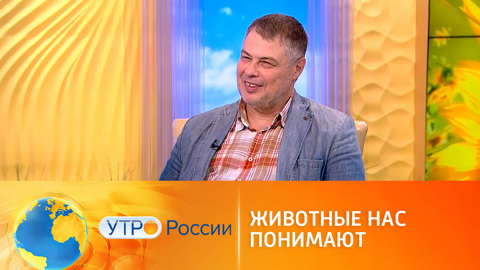 Могут ли животные понять людей