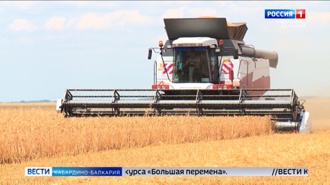 КБР получит свыше 365 млн рублей на возмещение затрат аграриев на производство зерновых культур