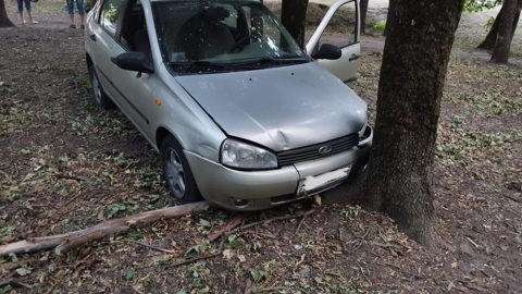 В Ростове водитель умер за рулем и врезался в дерево