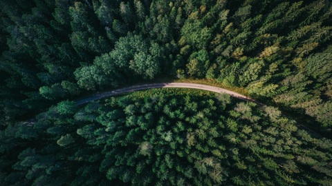 До +25…+30°С прогреется воздух в Удмуртии 30 августа
