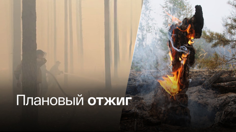 В Рязанской области площадь пожаров увеличилась на 10%
