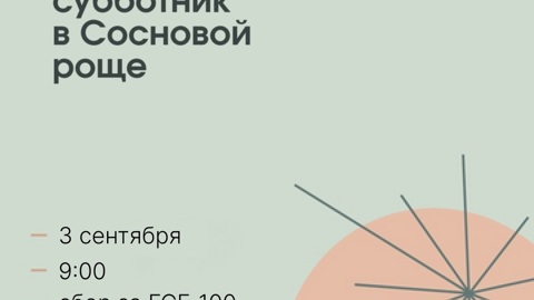 Жителей Йошкар-Олы 3 сентября ждут на субботник в Сосновой роще