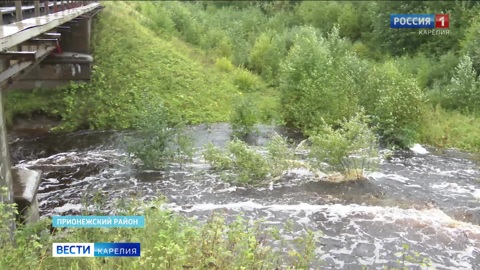 Несколько рек в Карелии сегодня вышли из берегов