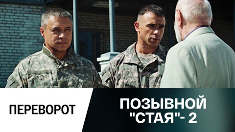 Переворот