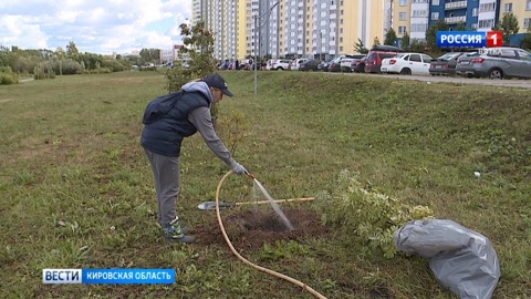 В Кирове прошел "Зеленый экофест"